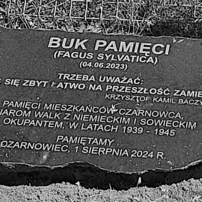 Buk Pamięci - głaz
